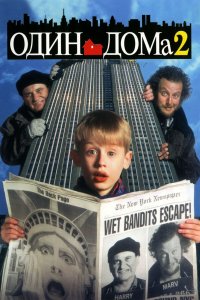 Один дома 2: Затерянный в Нью-Йорке 